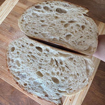 Superstarter Dried Sourdough Starter Kit