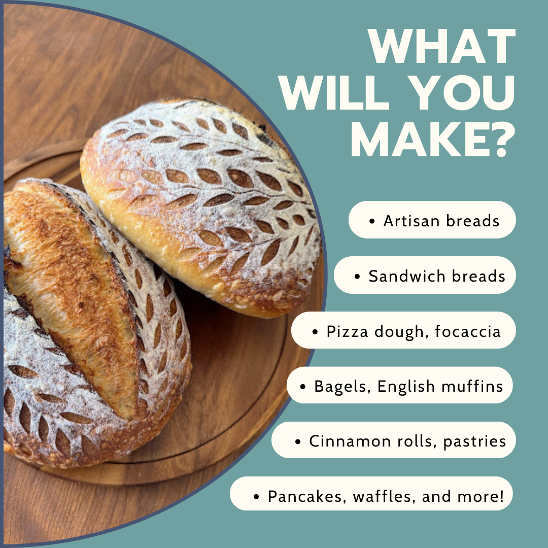 Premium Dried Sourdough Starter Kit - Live Superstarter Culture for Bread Baking (15g) - Yeast Coast Sourdough