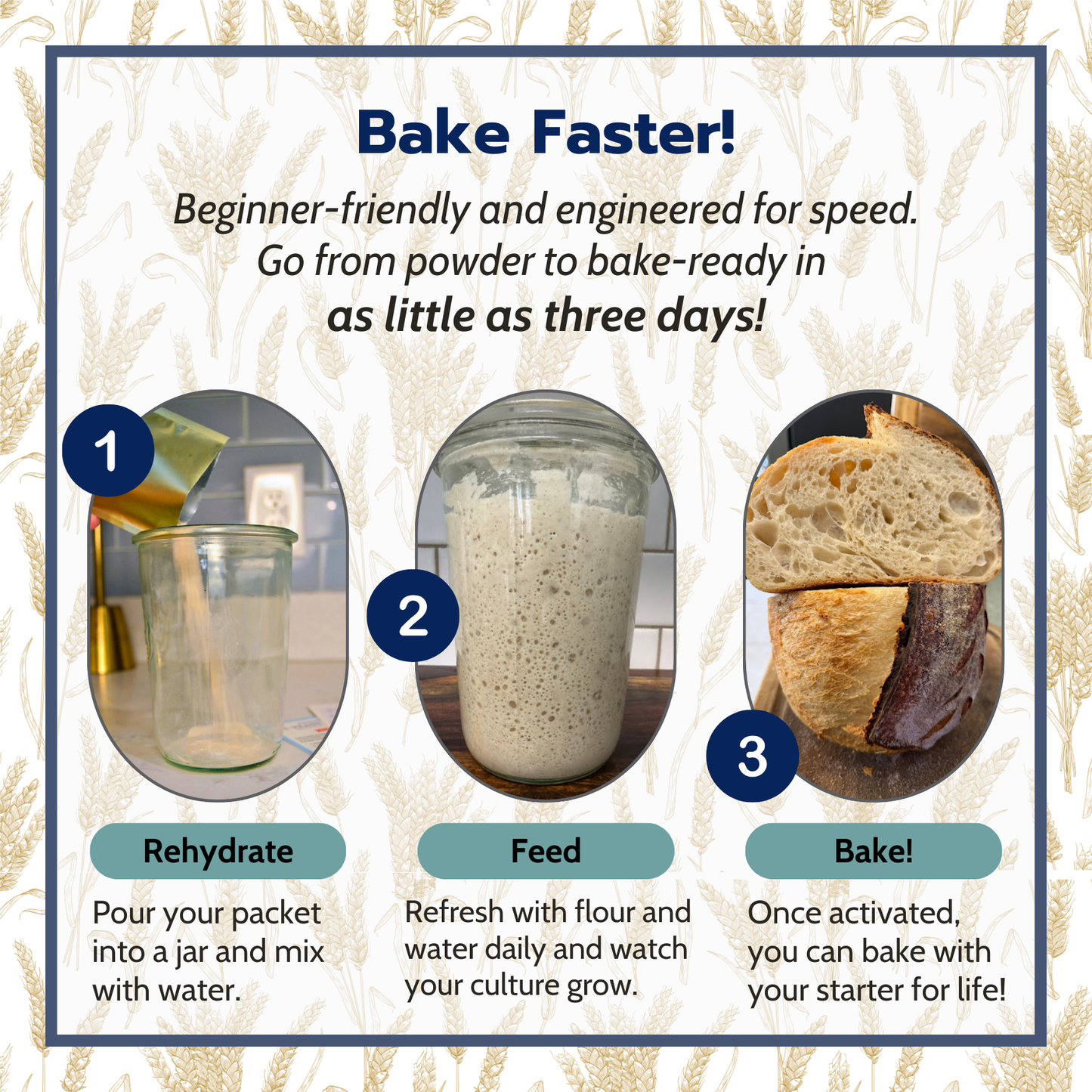 Premium Dried Sourdough Starter Kit - Live Superstarter Culture for Bread Baking (15g) - Yeast Coast Sourdough
