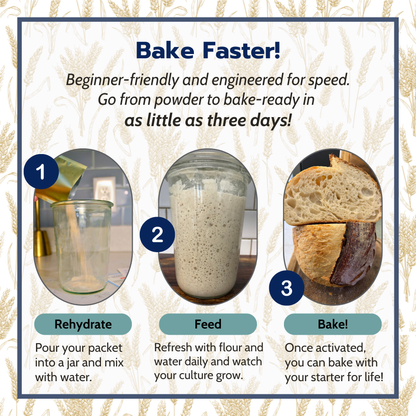 Step-by-step guide for baking faster with a starter culture, showing rehydration, feeding, and baking stages.
