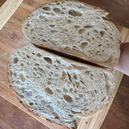 Superstarter Dried Sourdough Starter Kit