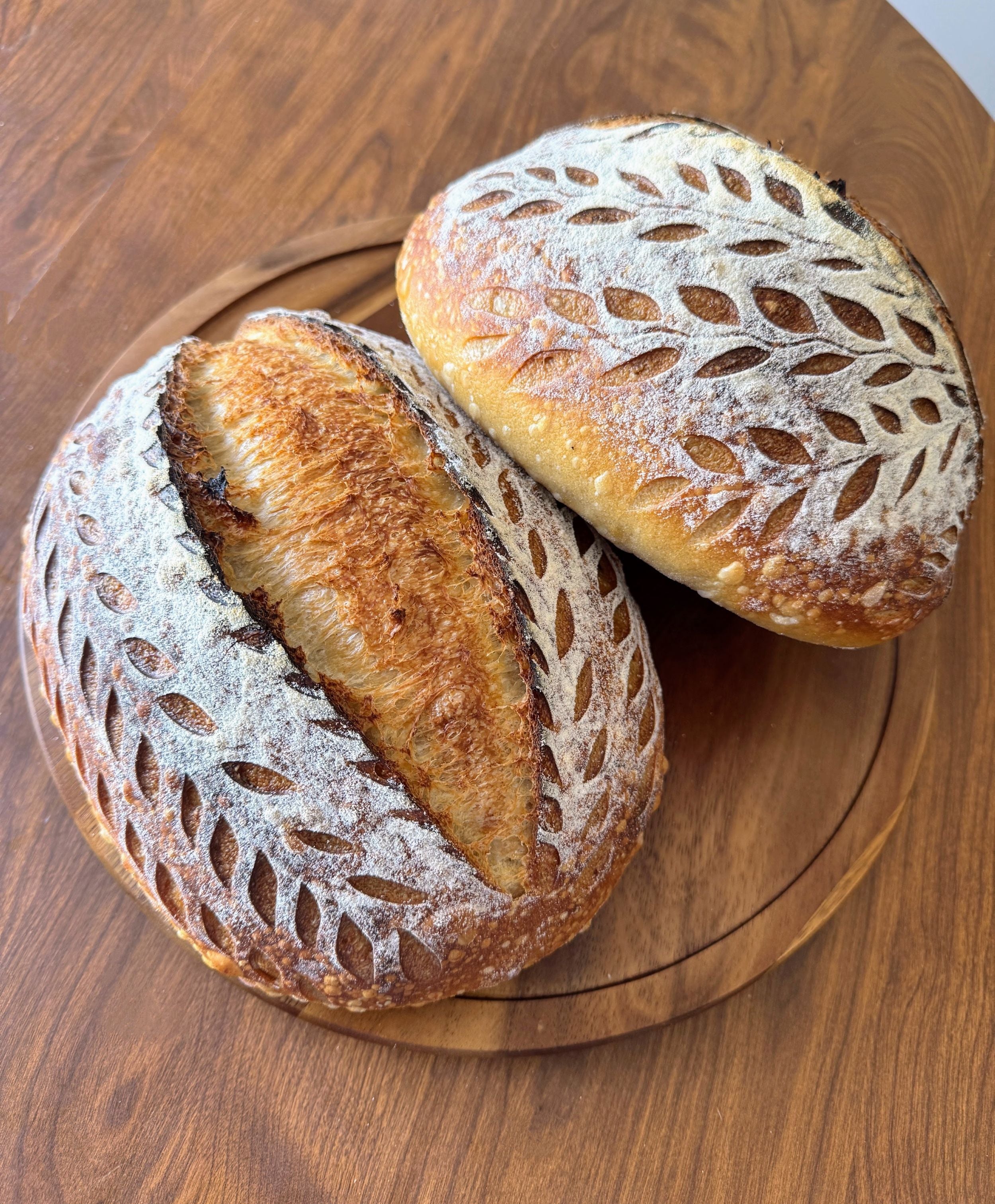 Two boule loaves of sourdough bread scored and made with Yeast Coast Sourdough superstarter